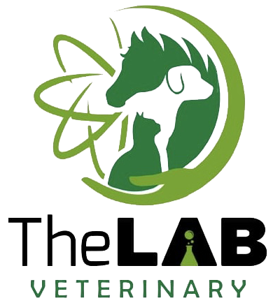 Logo laboratorio